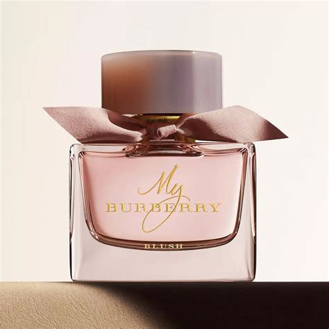 burberry for women notes|burberry original perfume at macy's.